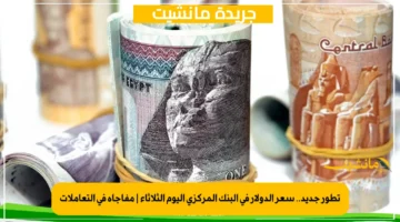 تطور جديد.. سعر الدولار في البنك المركزي اليوم الثلاثاء | مفاجأة في التعاملات